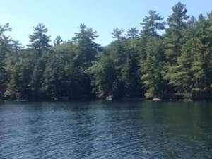 a row of green trees along the shoreline of a lake
