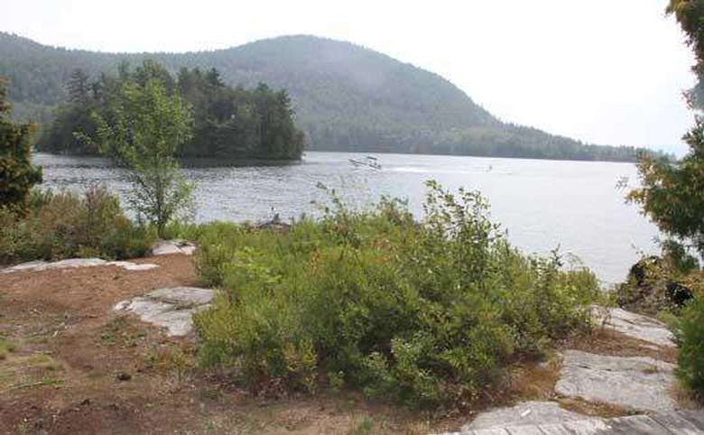 the shoreline with bushes, a lake in the background, and a mountain landscape