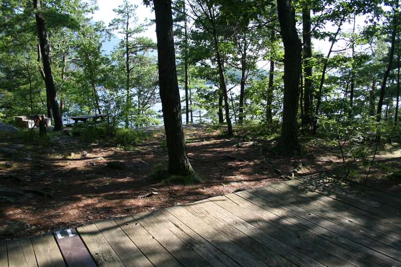 tent platform in the woods with the number eleven on it