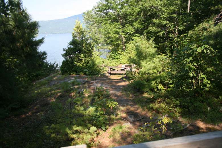 a grassy area with small trees and bush with a picnic table near the waterfront