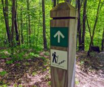 hiking trail marker